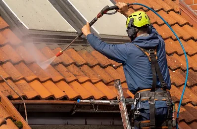 Démoussage et hydrofuge de toiture à Pinols